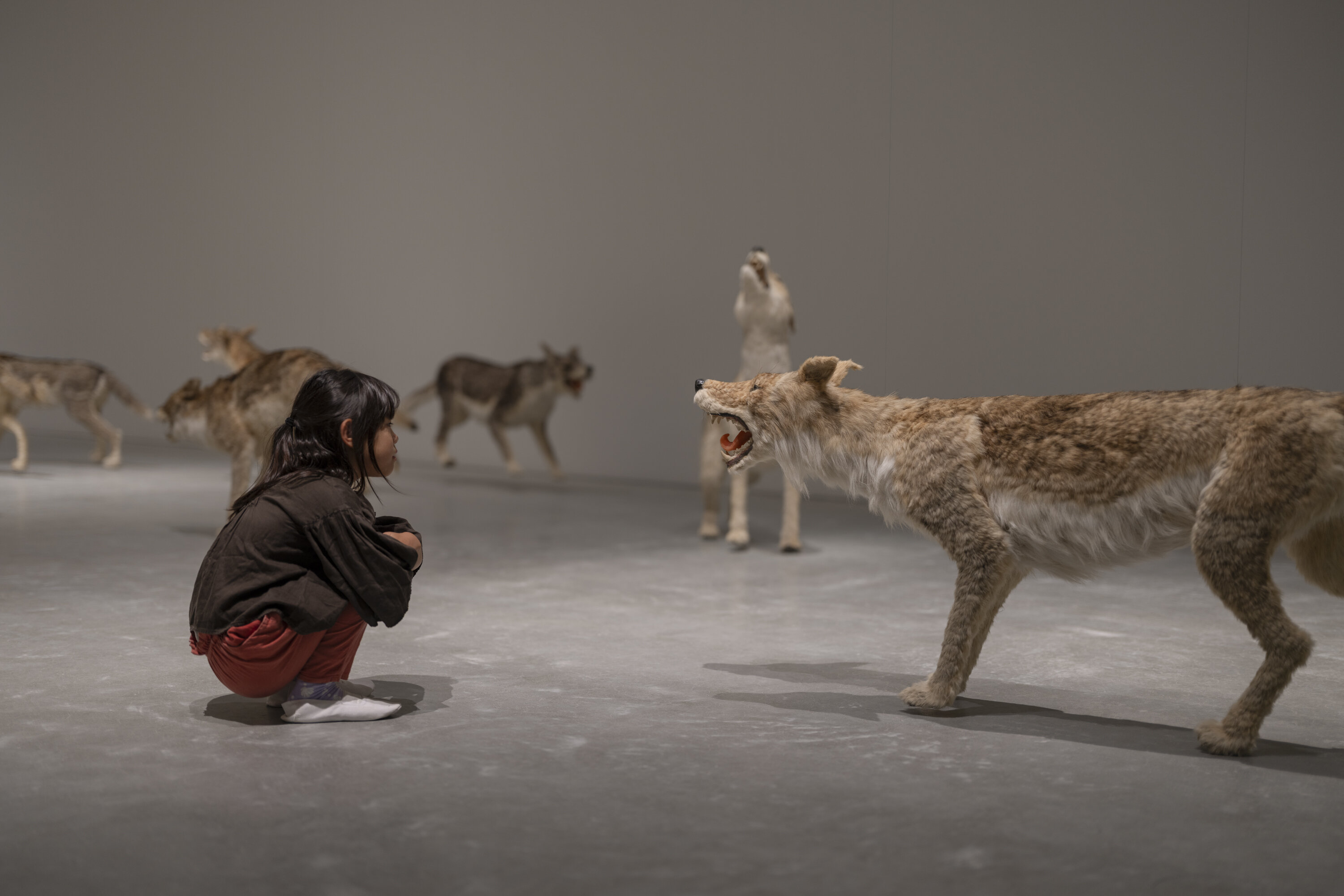 直島新美術館 夏休みワークショップ開催のお知らせ｜2025年7月23日（水